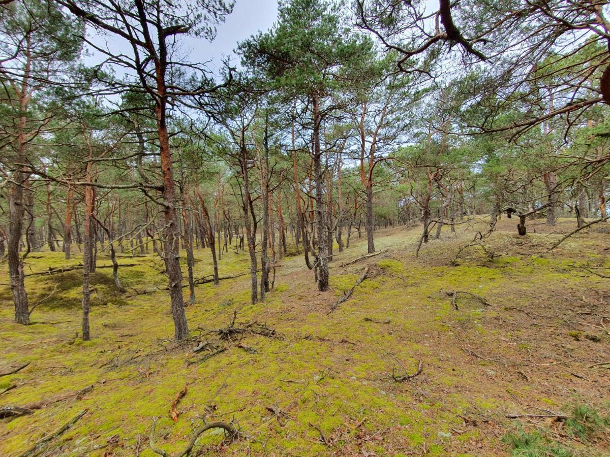 Mtk Pokoje I Apartamenty Smołdzino Exterior foto